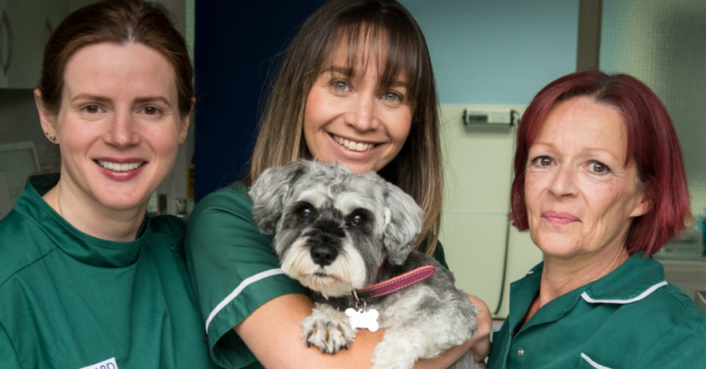 Goddard Veterinary Group Chalfont St Peter: Providing Excellence in Pet Care